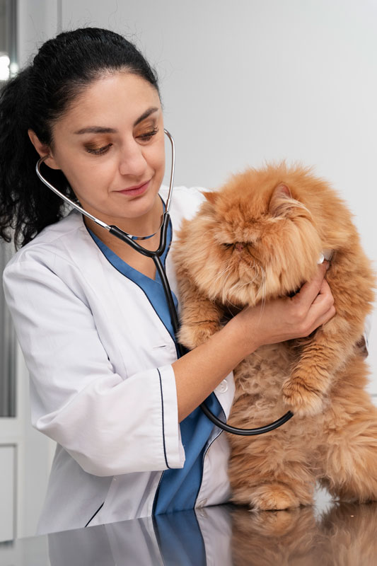 Veterinarian